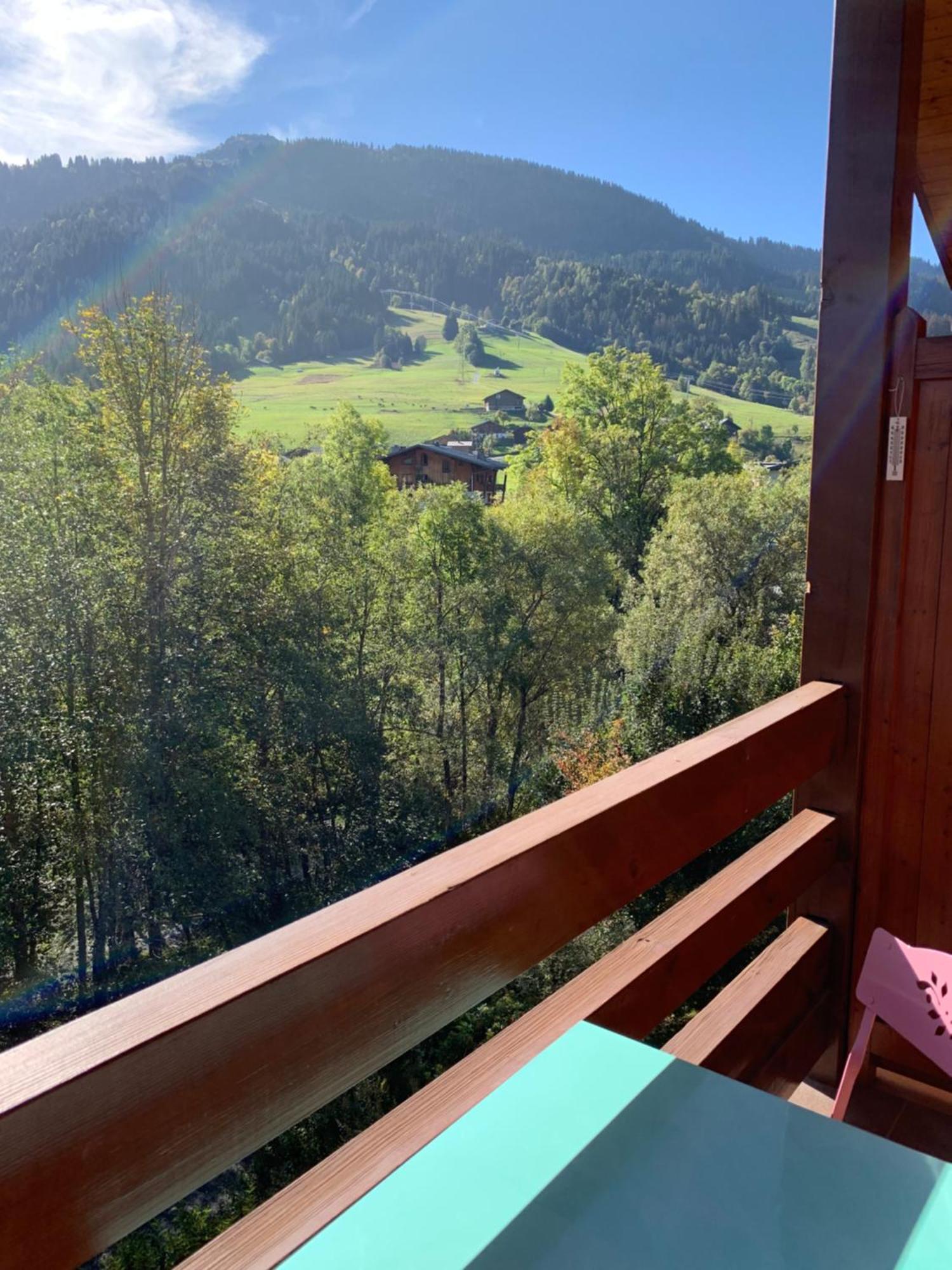 Appartement Vue Piste De Ski พลาซ-ซัวร์-อาร์ลี ภายนอก รูปภาพ